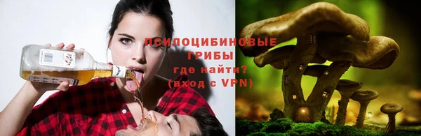 метадон Липки