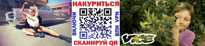 где можно купить   mega ONION  Шишки марихуана ГИДРОПОН  Северск 